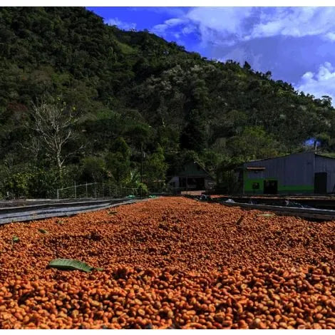 Costa Rica Arias