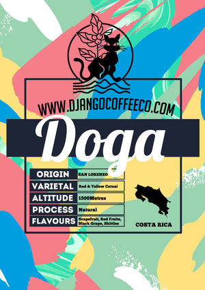 Costa Rica Doga