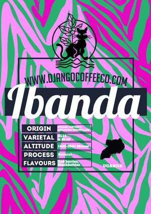 Uganda Ibanda - Django Coffee Co. 